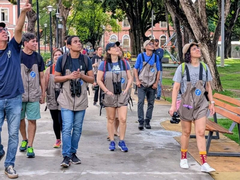 Vem Passarinhar promove observação gratuita de aves no Recife neste domingo