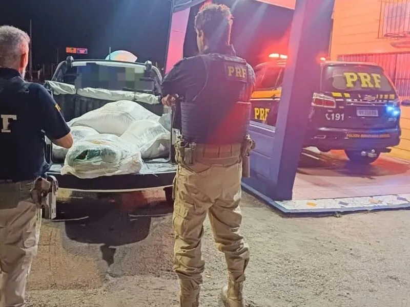 PRF detém motorista com 31 kg de maconha escondida em ração em Sertânia