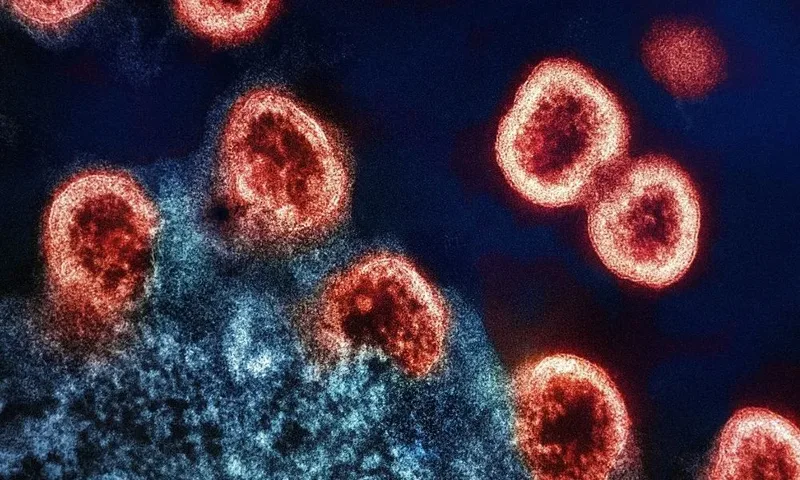 PrEP avança, mas adesão ainda desafia prevenção do HIV no Brasil