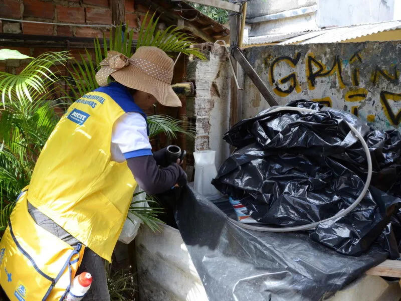 Recife faz mutirão para eliminar criadouros do Aedes aegypti