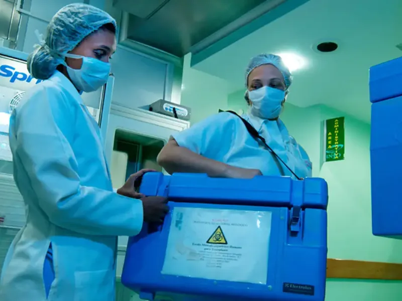 Idade não impede doação de órgãos em vida, mas exige avaliação cuidadosa