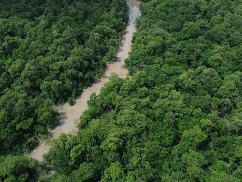 Campanha liga Dia da Amazônia a escolhas nas eleições gerais