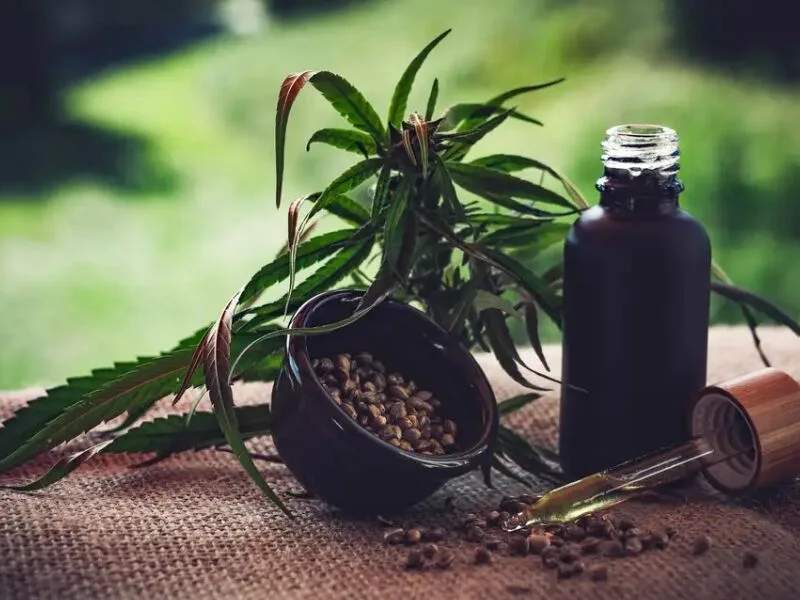 Associações cobram regras mais claras para cultivo de cannabis medicinal