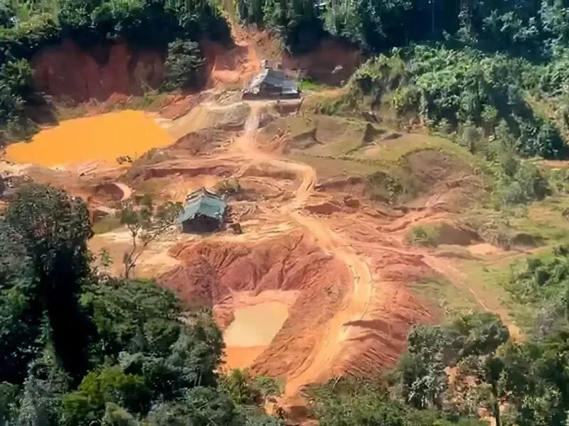 Brasil registra 26 mortes de defensores ambientais em 2025, diz Global Witness