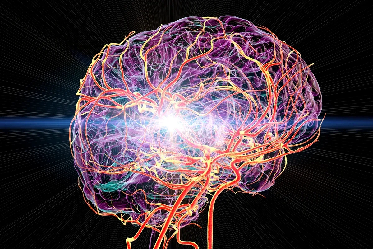 Estudo relaciona atividade imune na medula do crânio à dor persistente