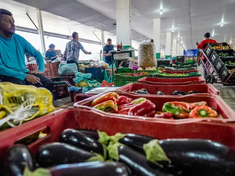 Campanha quer reduzir desperdício e valorizar alimentos fora do padrão