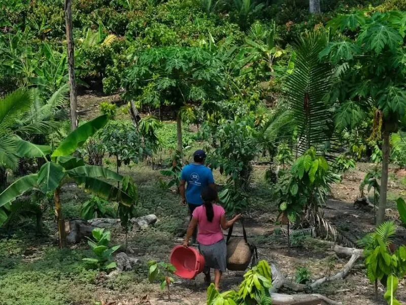 Seca, enchentes e perda cultural expõem desafios da terra na América Latina