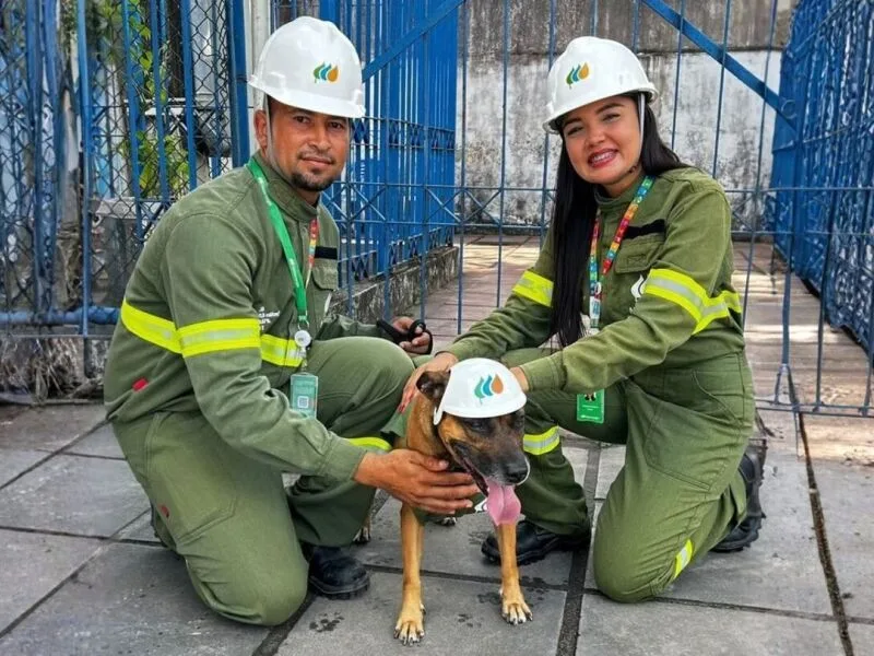 Neoenergia Pernambuco leva cadela Malu a campanha sobre riscos da rede elétrica