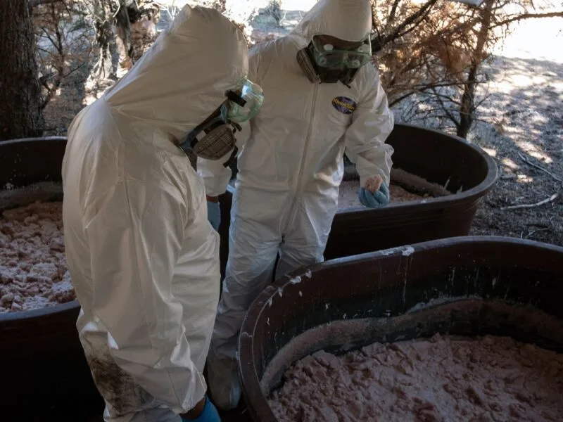 Cartel de Sinaloa amplia produção de metanfetamina na África para abastecer Oceania