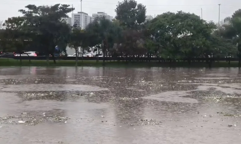 Rio Tietê sobe após chuva intensa e fica perto de transbordar em São Paulo